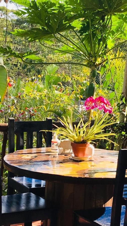La Casa Del Rio B&B 普约 外观 照片