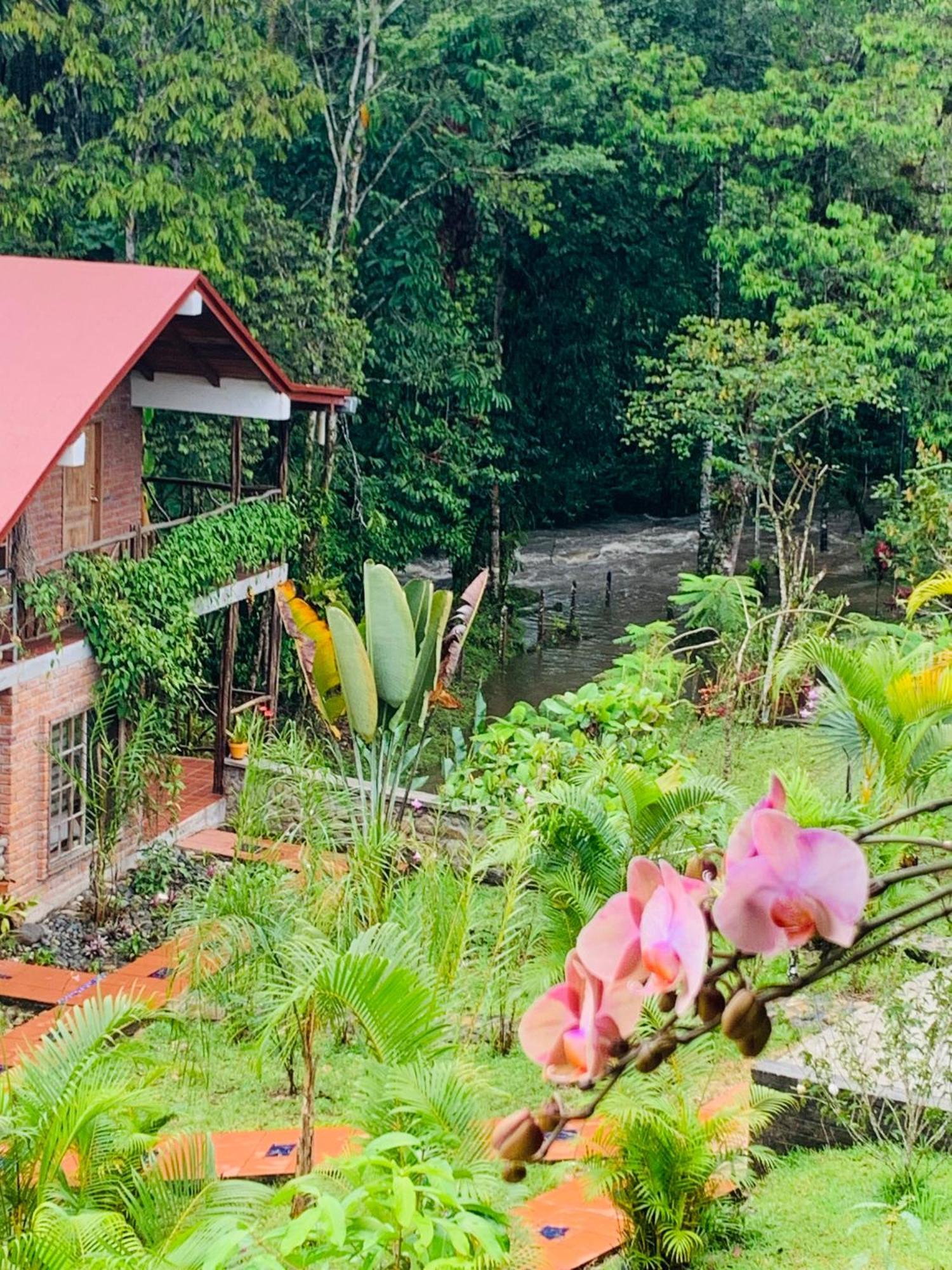 La Casa Del Rio B&B 普约 外观 照片