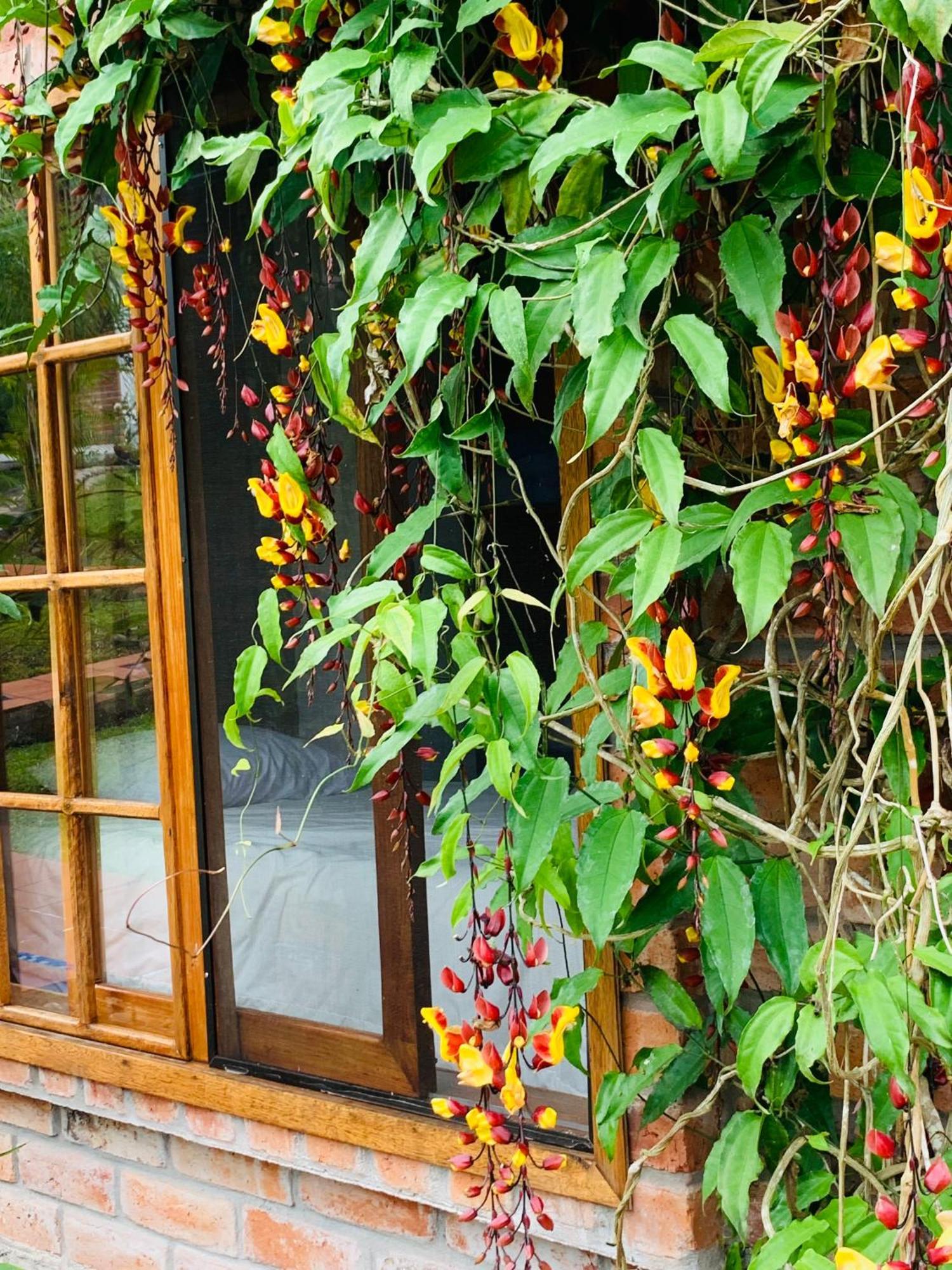 La Casa Del Rio B&B 普约 外观 照片